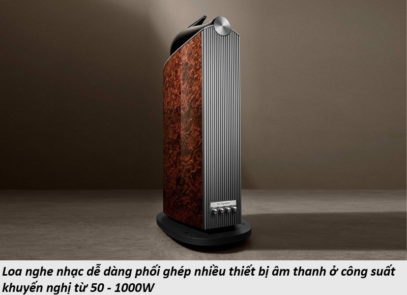 phối ghép loa Bowers & Wilkins 801 D4 Signature