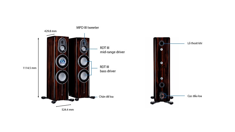 Chi tiết loa Monitor Platinum 300 3G