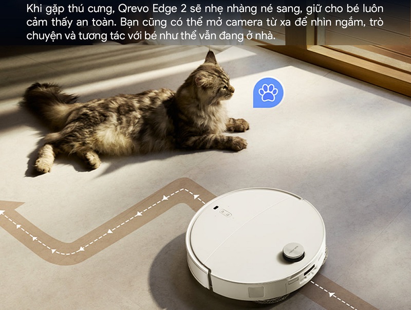robot hút bụi qrevo edge 2 thân thiện với thú cưng