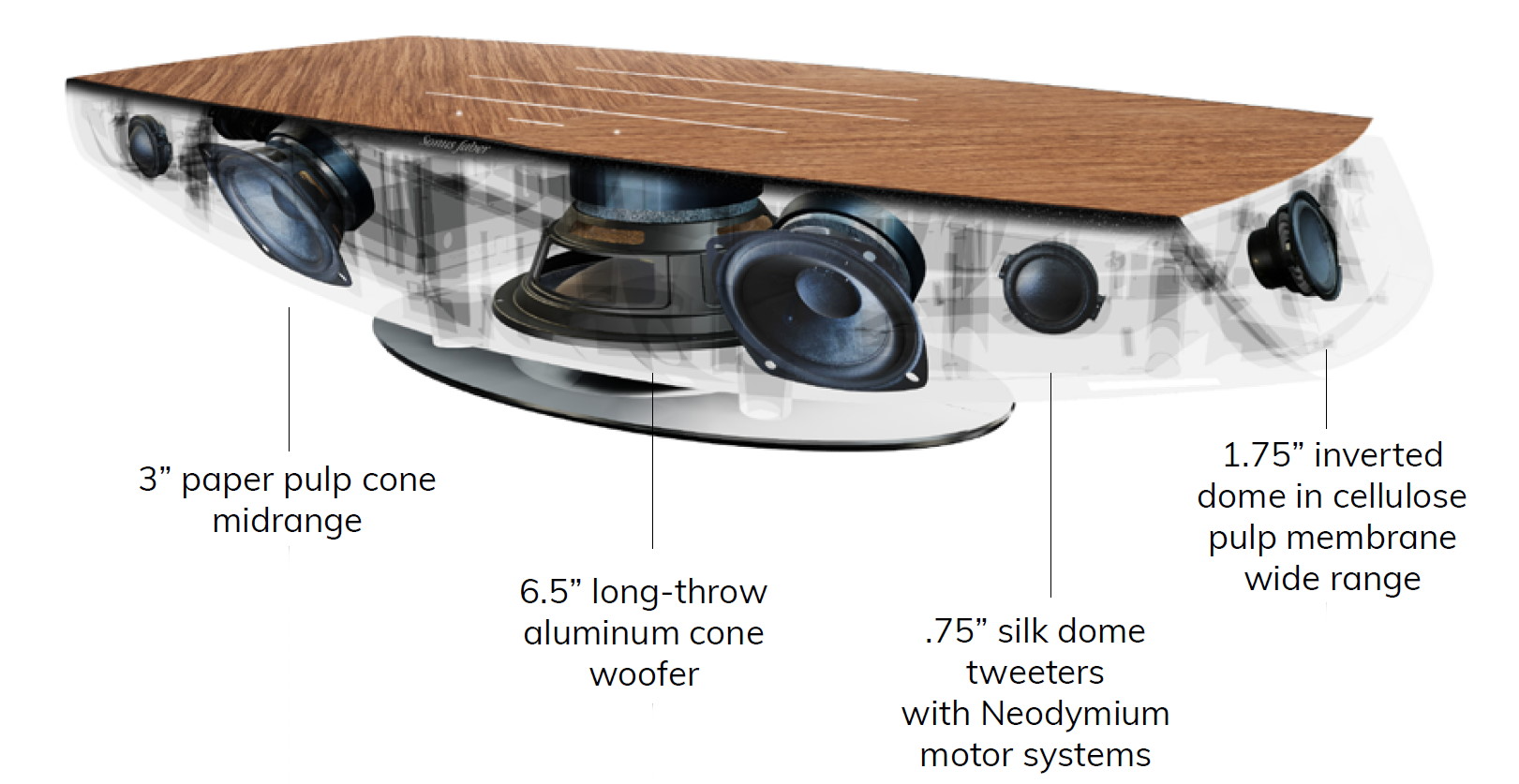 củ loa loa Sonus Faber Omnia