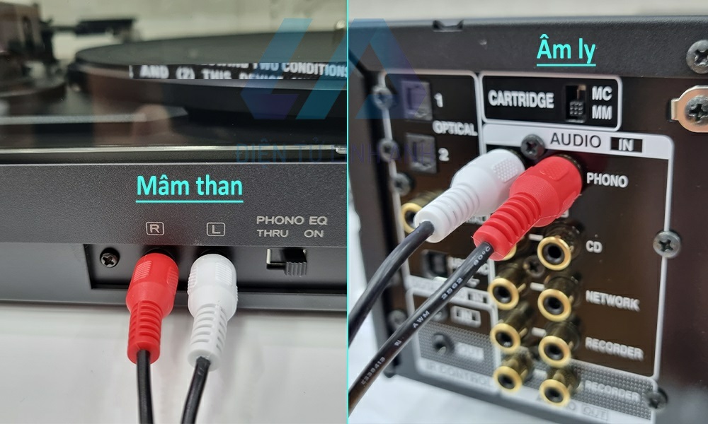 cắm đầu đĩa than vào ampli có tích hợp phono pre-am