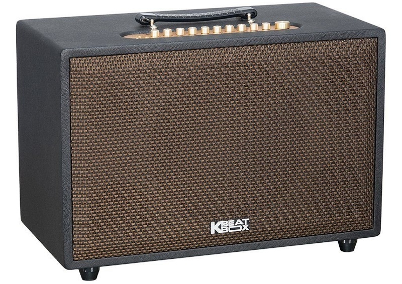 thiết kế loa acnos cs3800 pro