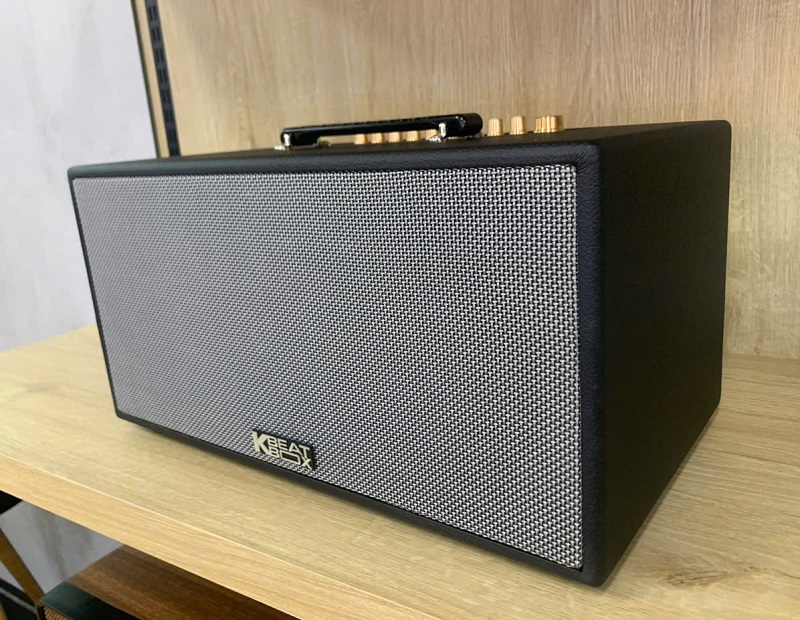 thiết kế loa acnos cs447r plus