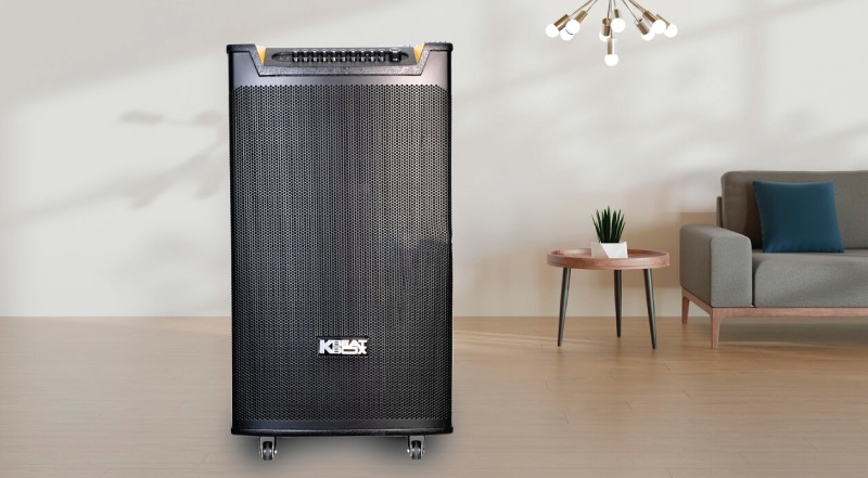 thiết kế loa acnos top 430