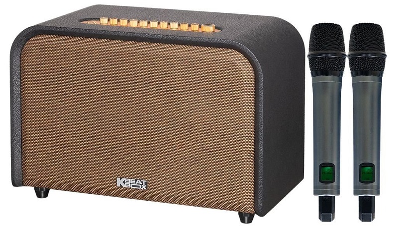 thiết kế loa acoustic 3 v26