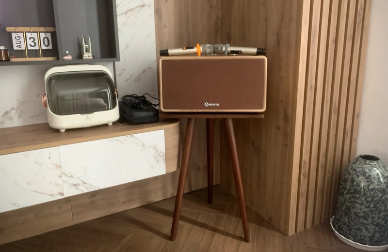 thiết kế loa arirang mb2iw