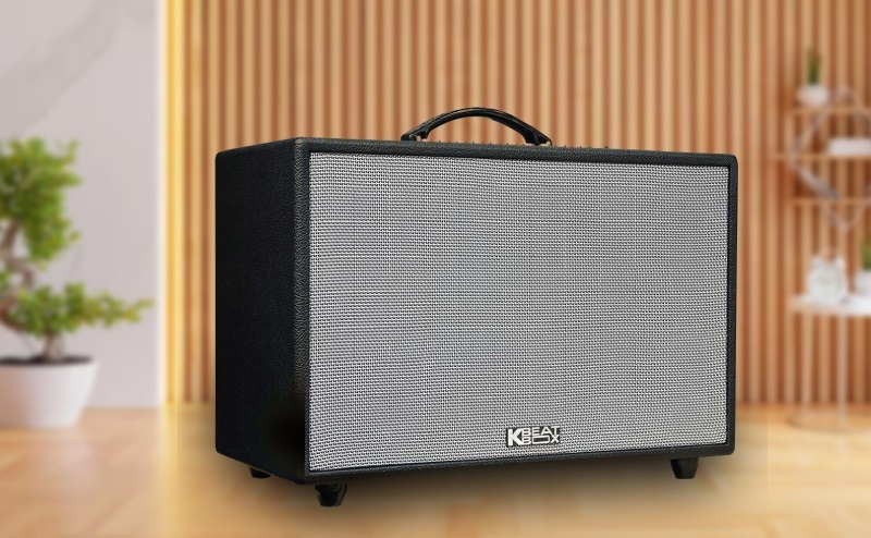 thiết kế loa cs3600 gen 2