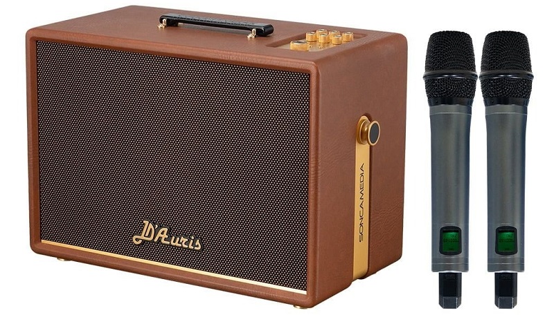 thiết kế loa d-auris 200