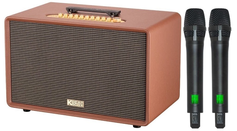 thiết kế loa flac 39