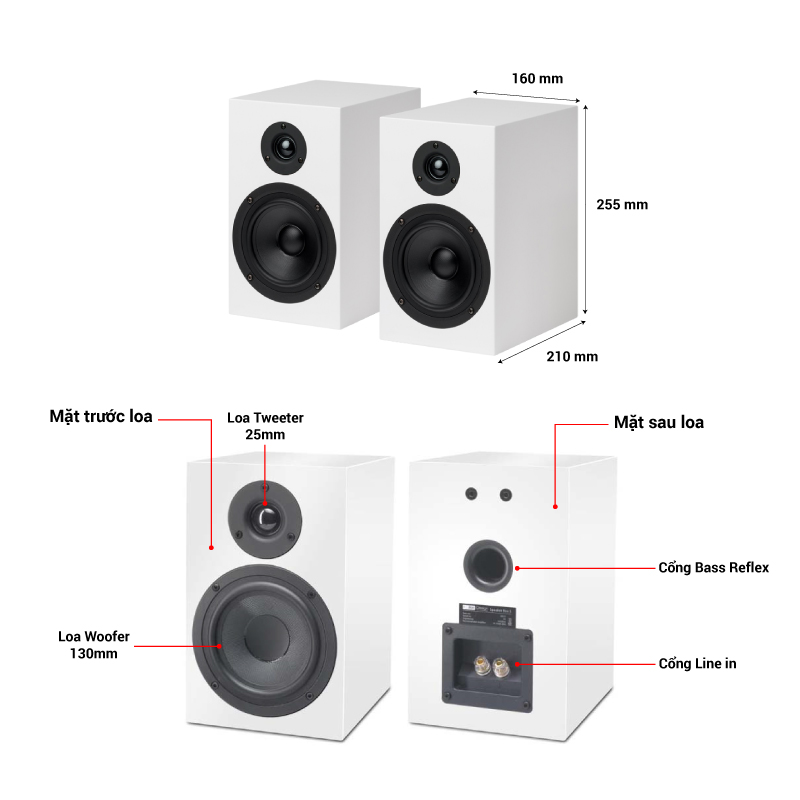 thông số loa Loa Project Speaker Box 5