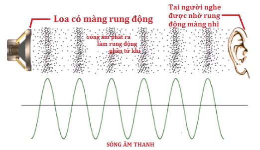 Tìm hiểu về các dạng tín hiệu âm thanh, âm thanh Analog - Digital khác nhau ở điểm nào?