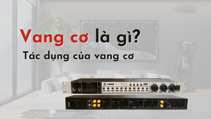 vang co la gi va tac dung