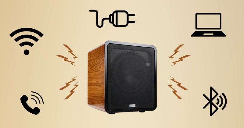 vì sao loa bị rù rè