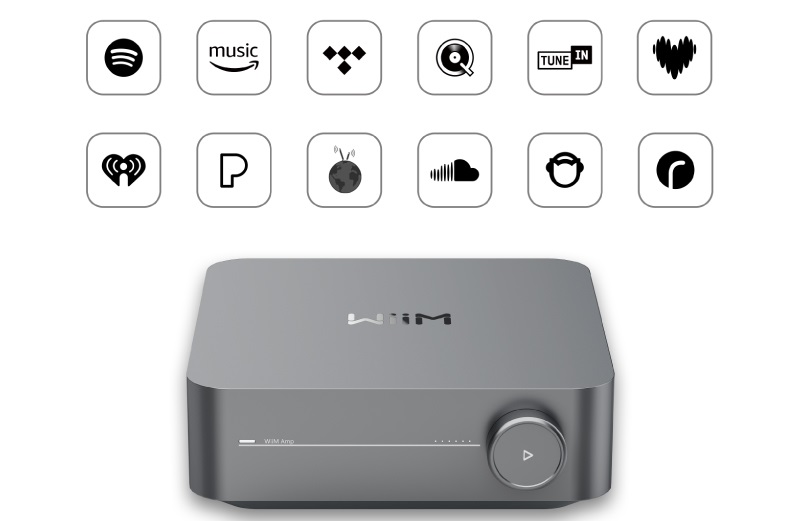 wiim amp pro kết nối không dây