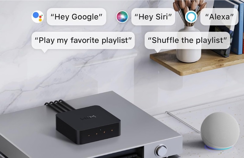 wiim pro trợ lý ảo