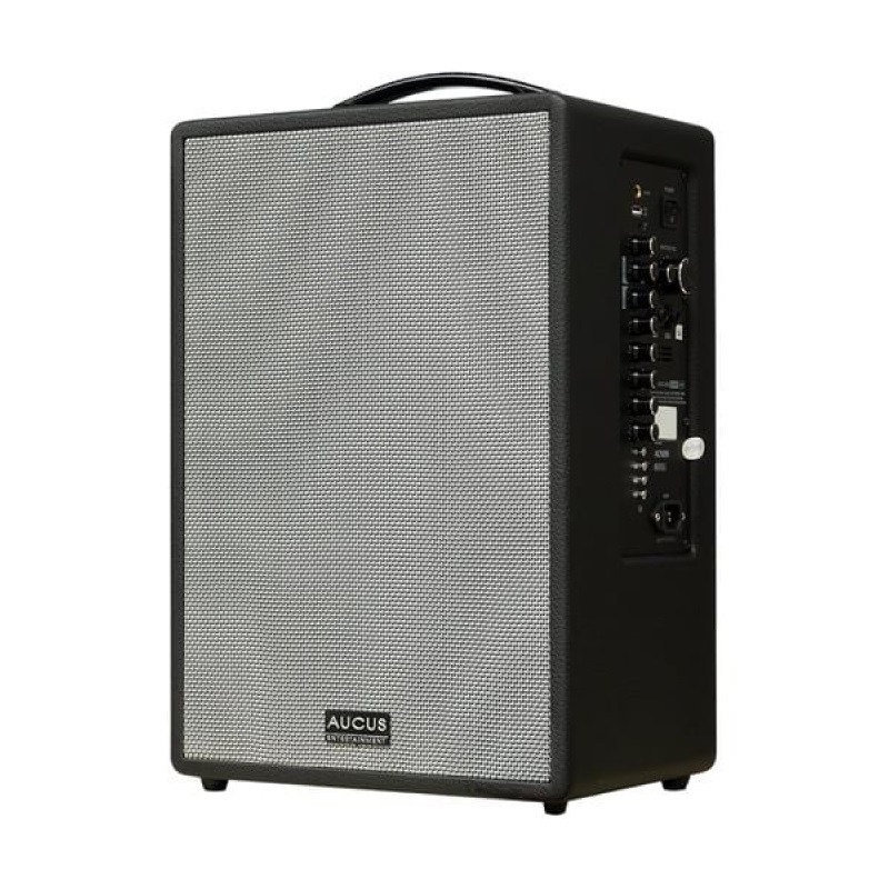 Loa Acnos AUCUS X300