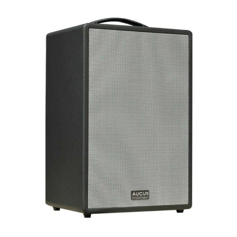 Loa Acnos AUCUS X300