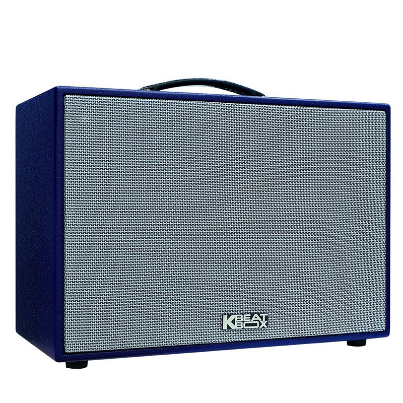 Loa Karaoke xách tay Acnos CS250SON chính hãng