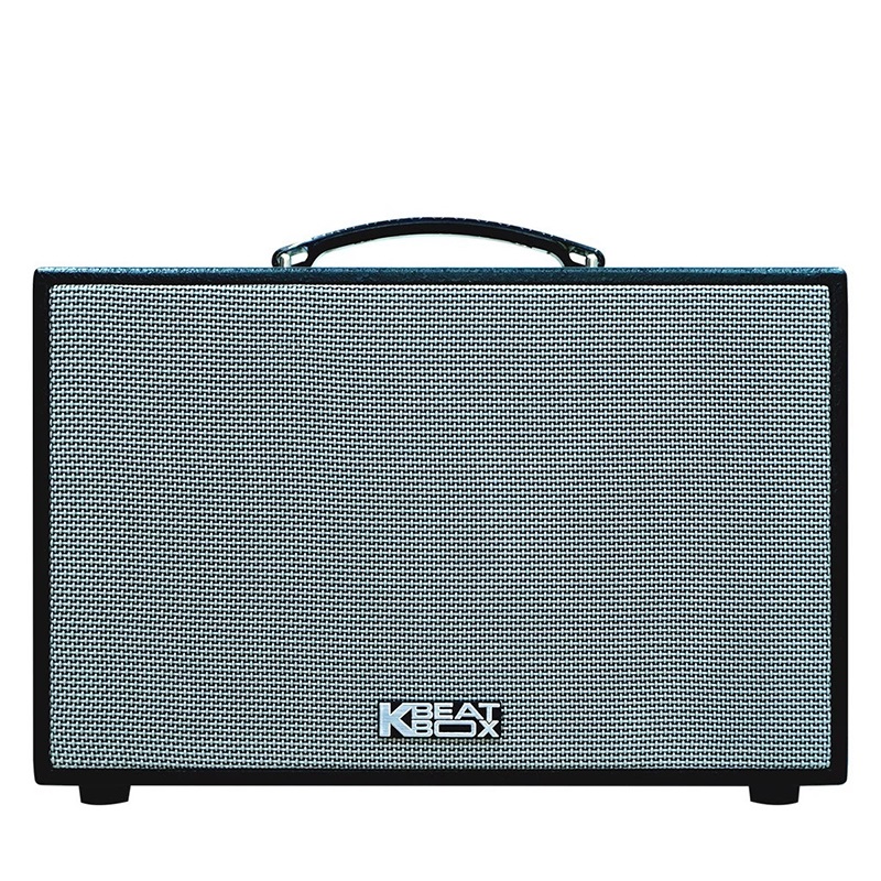 Loa Karaoke xách tay Acnos CS250SON chính hãng