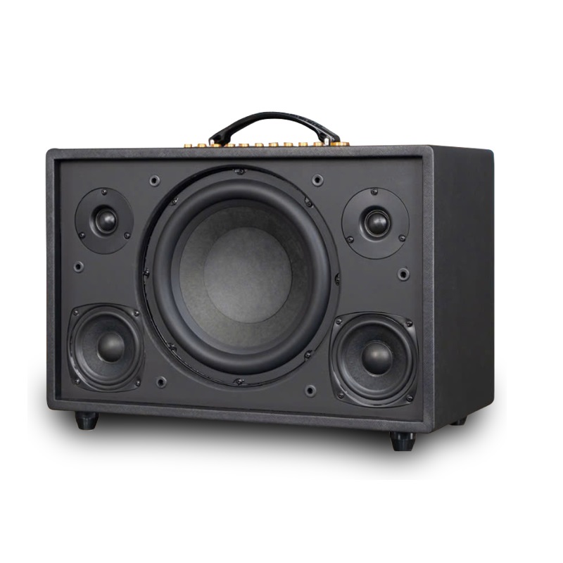 Loa Acnos CS3600 Pro