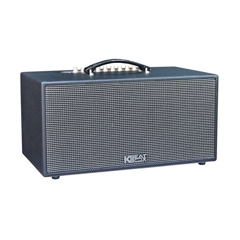 Dàn Âm Thanh Di Động Acnos CS447R