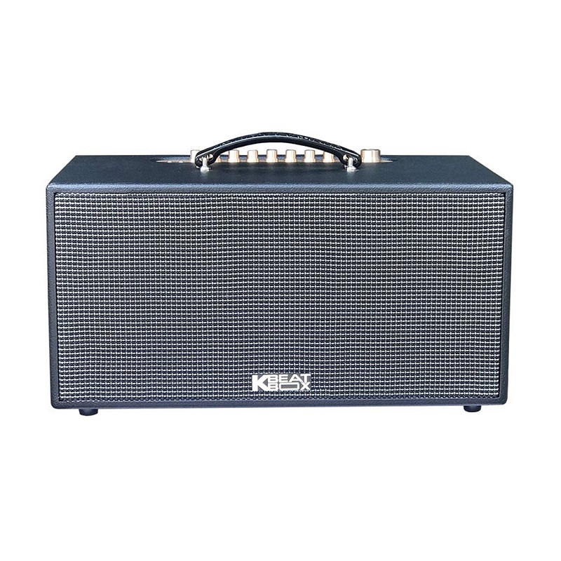 Dàn Âm Thanh Di Động Acnos CS447R