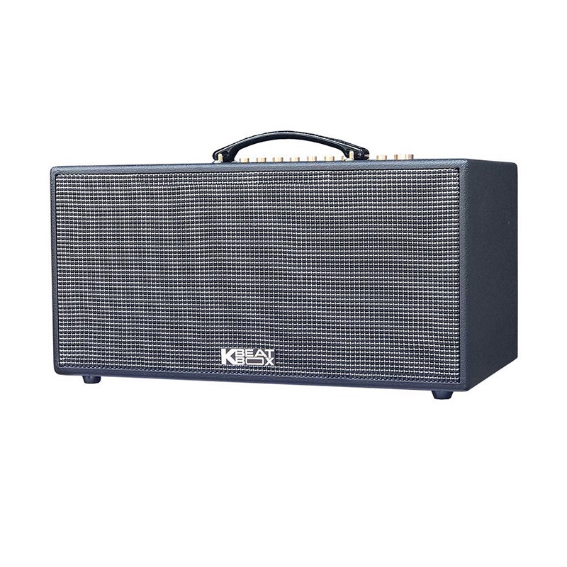 Dàn Âm Thanh Di Động Acnos CS447R