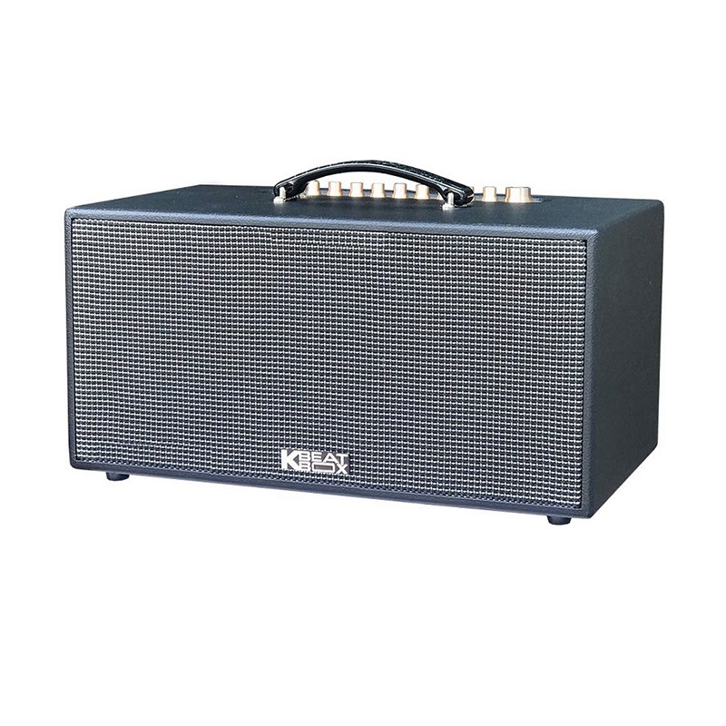 Dàn Âm Thanh Di Động Acnos CS447R