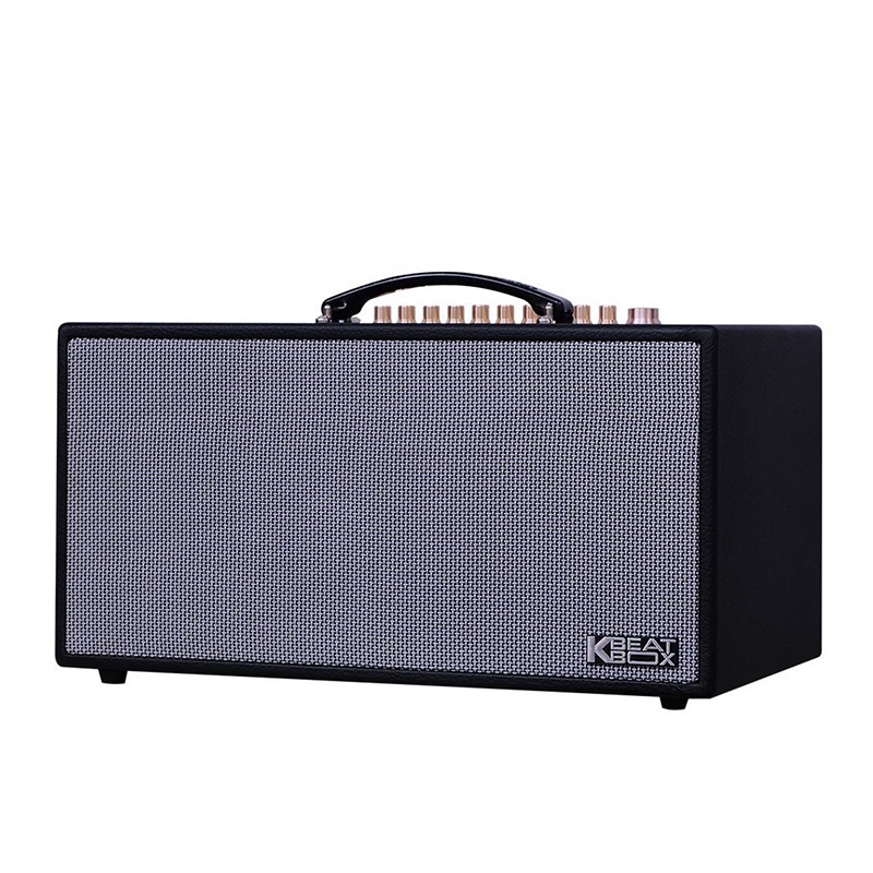 Loa Acnos CS450 Alpha