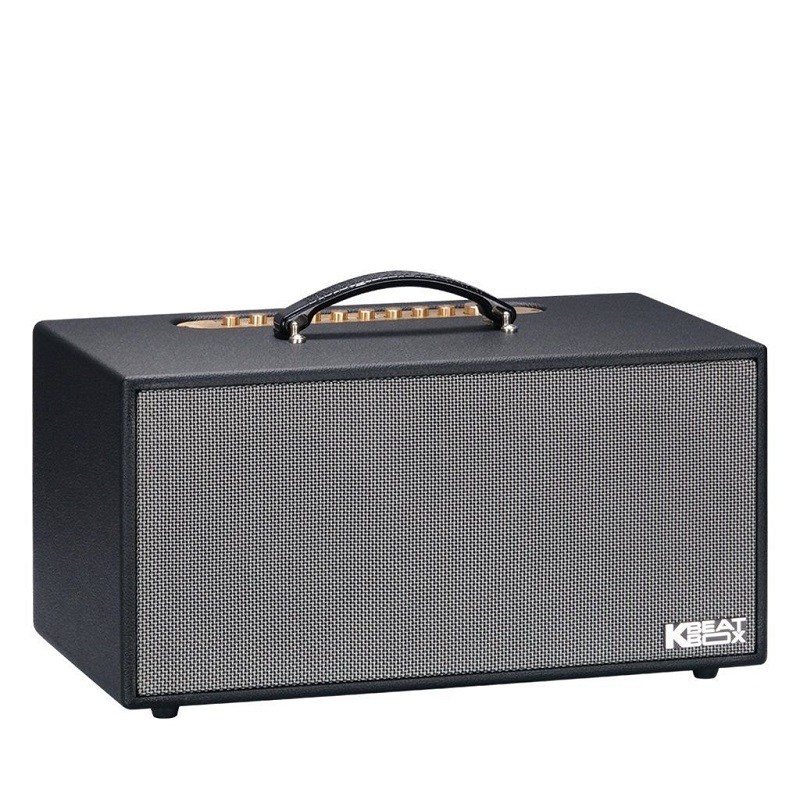 Loa Acnos CS450SRV Plus