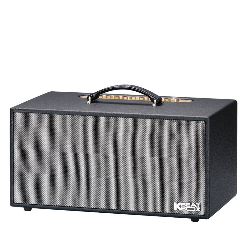 Loa Acnos CS450SRV Plus