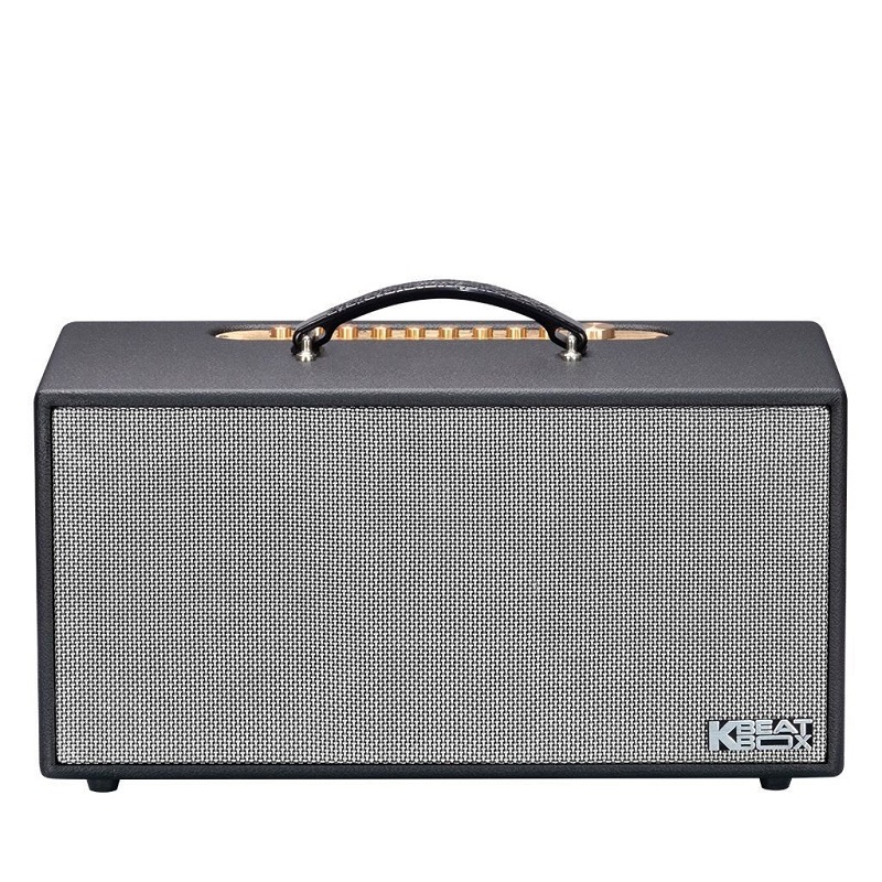 Loa Acnos CS450SRV Plus