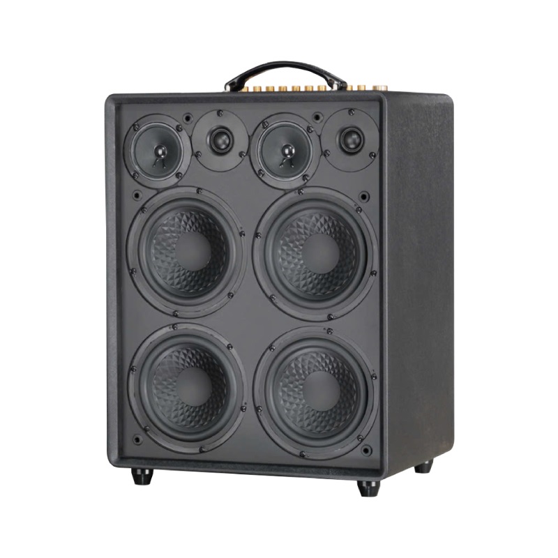 Loa Acnos CS552 Plus