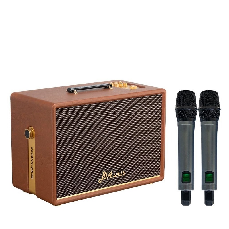 Loa Soncamedia D'Auris 300