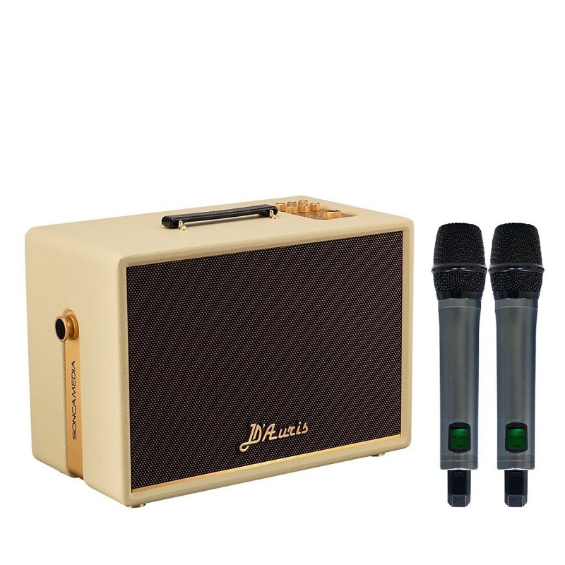 Loa Soncamedia D'Auris 300