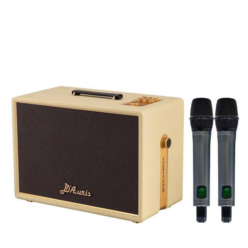 Loa Soncamedia D'Auris 300