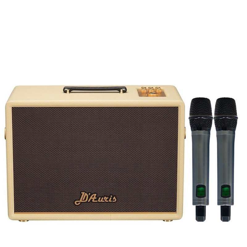 Loa Soncamedia D'Auris 300