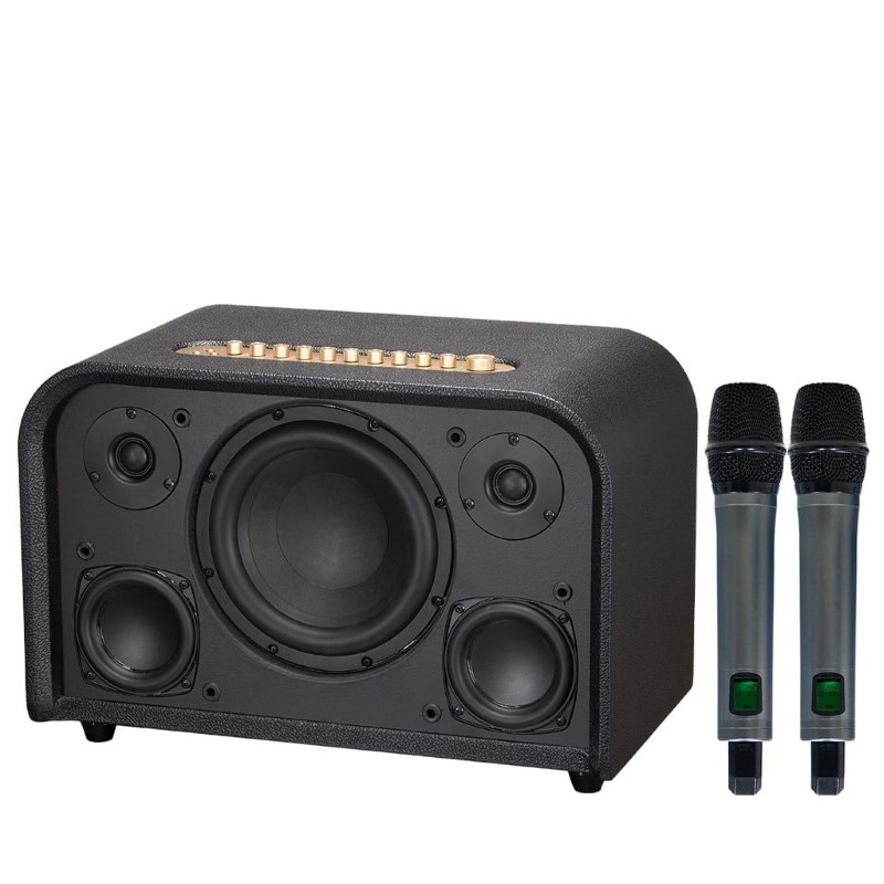 Loa Acnos Acoustic 3 Compact