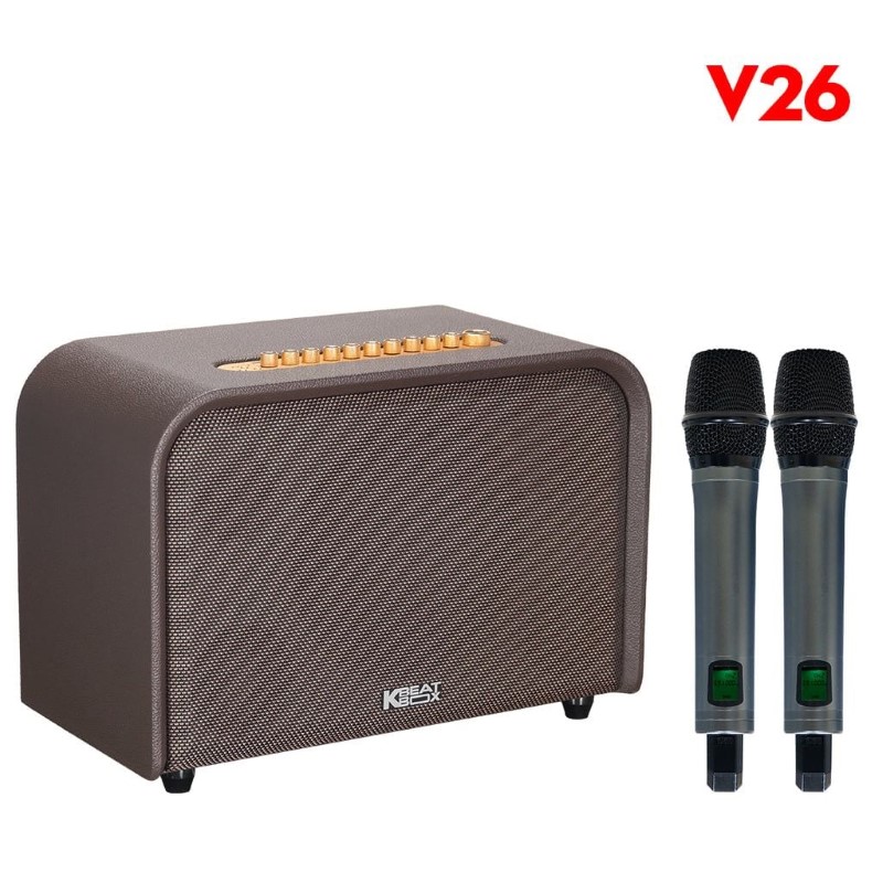 Loa Acnos Acoustic 3 V26