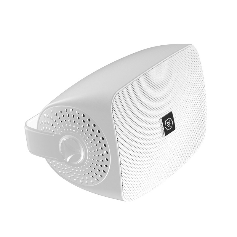 Loa Alpha Works AW CLUB65