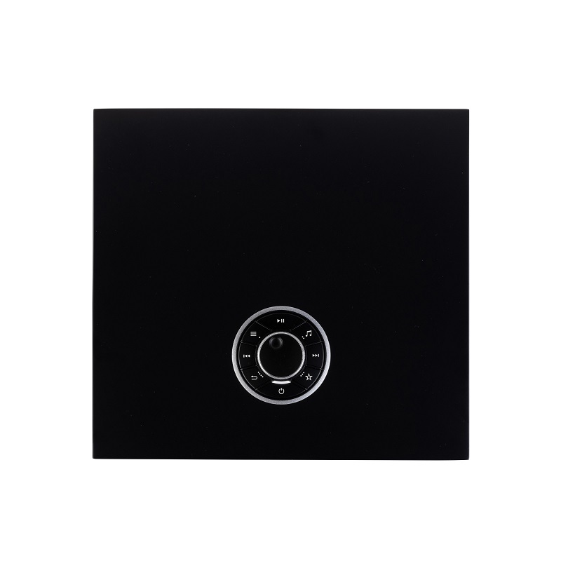 Amply streaming Ruark R610
