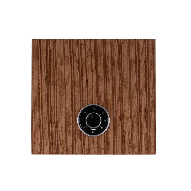 Amply streaming Ruark R610