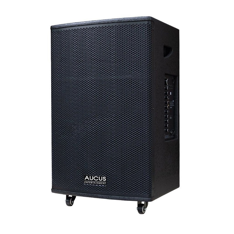 Loa karaoke di động Acnos Aucus AK800