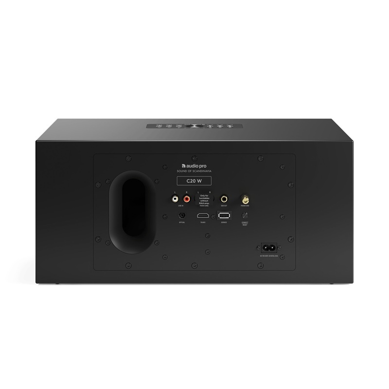 Loa Audio Pro C20 W