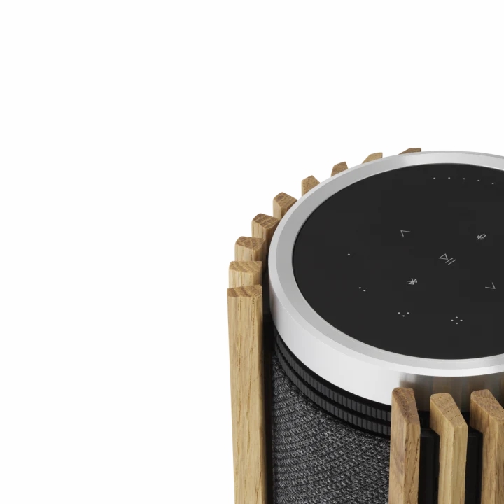 Loa Bang & Olufsen Beolab 28