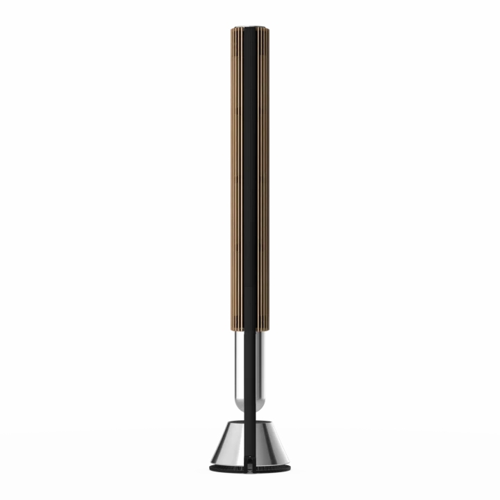 Loa Bang & Olufsen Beolab 28