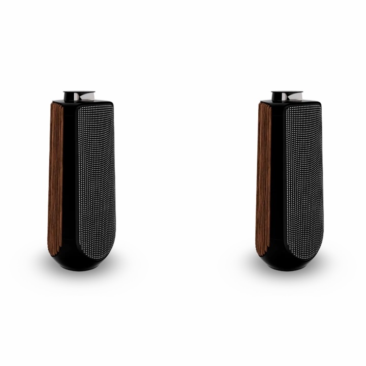 Loa Bang & Olufsen Beolab 50