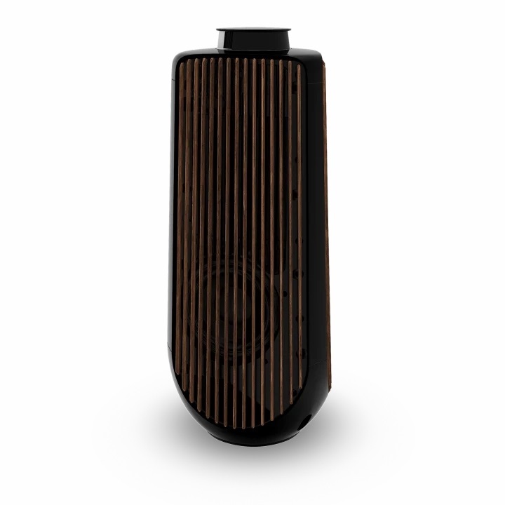 Loa Bang & Olufsen Beolab 50