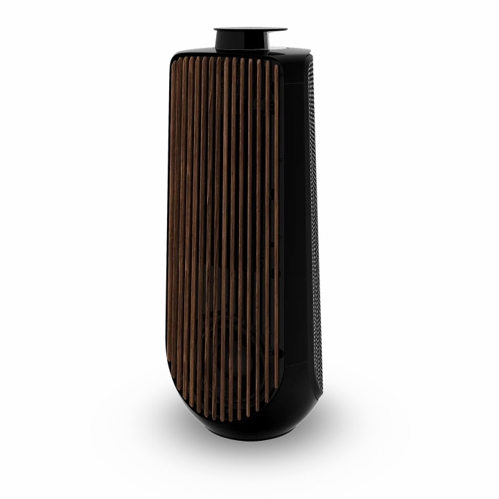 Loa Bang & Olufsen Beolab 50
