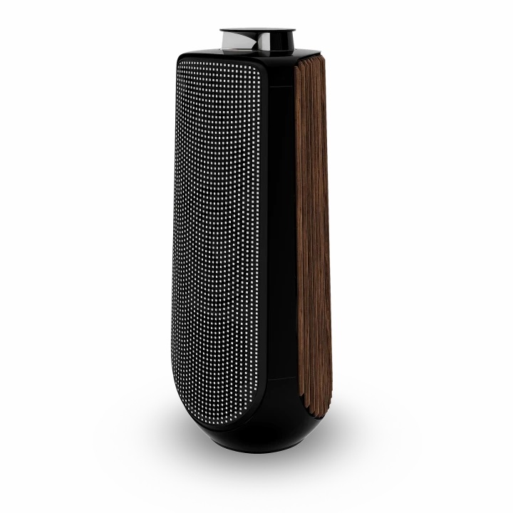 Loa Bang & Olufsen Beolab 50
